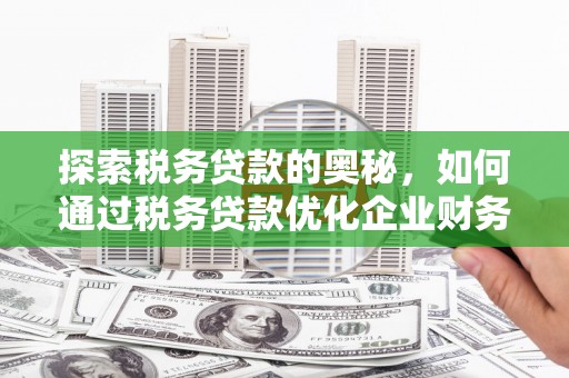 甘井子探索税务贷款的奥秘，如何通过税务贷款优化企业财务