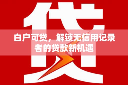 甘井子白户可贷，解锁无信用记录者的贷款新机遇