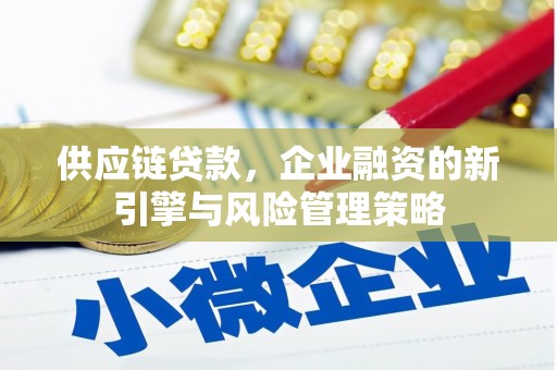 甘井子供应链贷款，企业融资的新引擎与风险管理策略