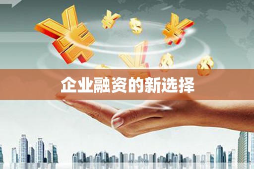 甘井子企业融资的新选择