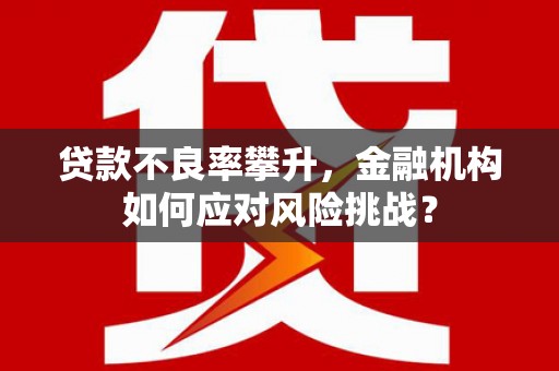 甘井子贷款不良率攀升，金融机构如何应对风险挑战？
