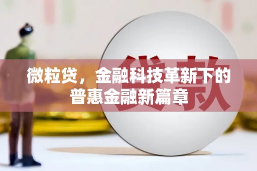 甘井子微粒贷，金融科技革新下的普惠金融新篇章
