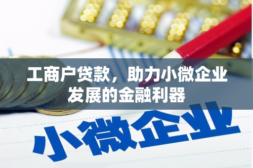 甘井子工商户贷款，助力小微企业发展的金融利器