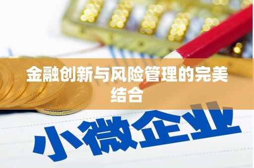 甘井子金融创新与风险管理的完美结合