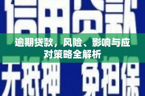 甘井子逾期贷款，风险、影响与应对策略全解析