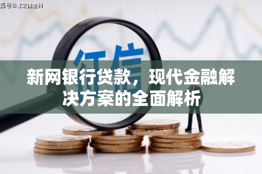 甘井子新网银行贷款，现代金融解决方案的全面解析