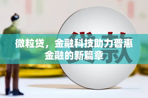 甘井子微粒贷，金融科技助力普惠金融的新篇章
