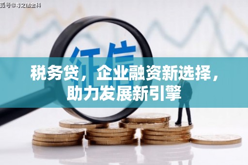 甘井子税务贷，企业融资新选择，助力发展新引擎