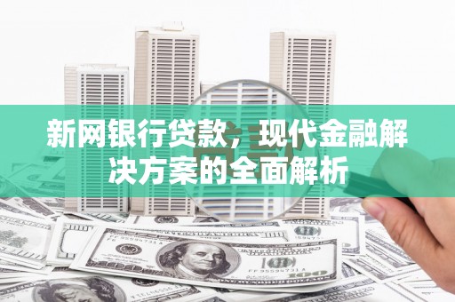 甘井子新网银行贷款，现代金融解决方案的全面解析