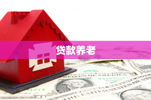 甘井子贷款养老