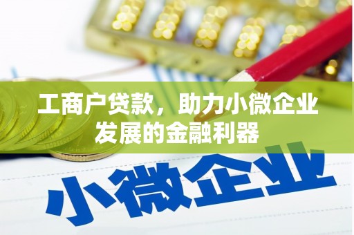 甘井子工商户贷款，助力小微企业发展的金融利器