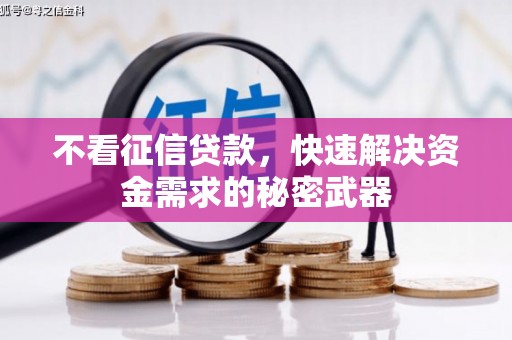 甘井子不看征信贷款，快速解决资金需求的秘密武器