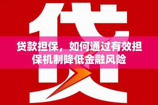 甘井子贷款担保，如何通过有效担保机制降低金融风险