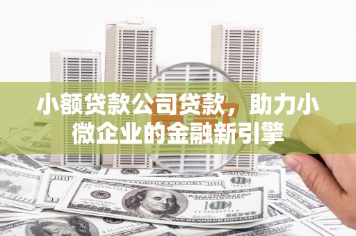 甘井子小额贷款公司贷款，助力小微企业的金融新引擎