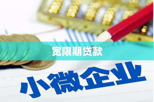 甘井子宽限期贷款