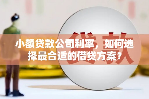 甘井子小额贷款公司利率，如何选择最合适的借贷方案？