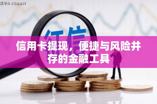 甘井子信用卡提现，便捷与风险并存的金融工具