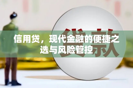 甘井子信用贷，现代金融的便捷之选与风险管控
