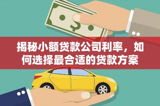 甘井子揭秘小额贷款公司利率，如何选择最合适的贷款方案
