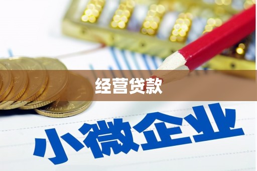 甘井子经营贷款
