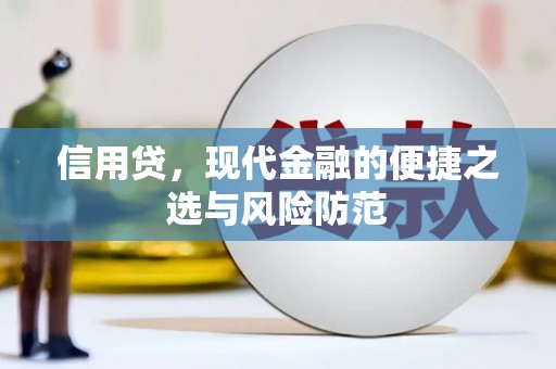 甘井子信用贷，现代金融的便捷之选与风险防范