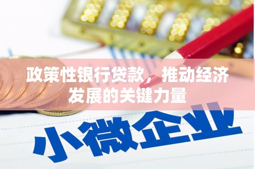 甘井子政策性银行贷款，推动经济发展的关键力量