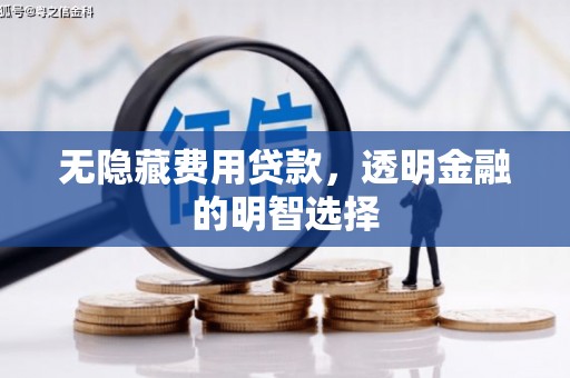 甘井子无隐藏费用贷款，透明金融的明智选择