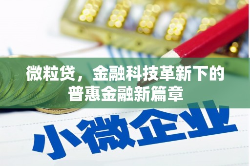 甘井子微粒贷，金融科技革新下的普惠金融新篇章