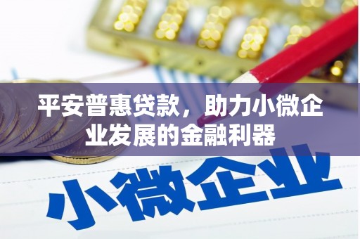 甘井子平安普惠贷款，助力小微企业发展的金融利器