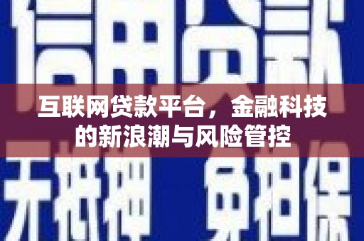 甘井子互联网贷款平台，金融科技的新浪潮与风险管控