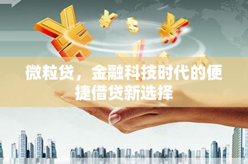 甘井子微粒贷，金融科技时代的便捷借贷新选择