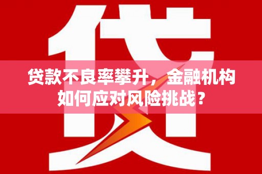 甘井子贷款不良率攀升，金融机构如何应对风险挑战？