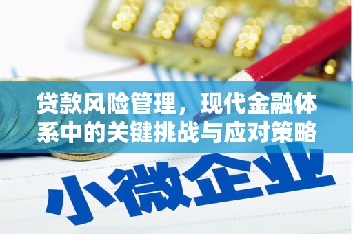 甘井子贷款风险管理，现代金融体系中的关键挑战与应对策略