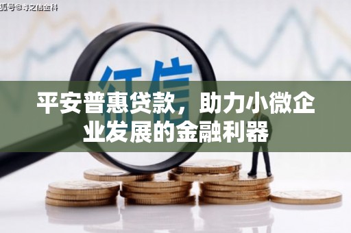甘井子平安普惠贷款，助力小微企业发展的金融利器