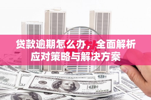 甘井子贷款逾期怎么办，全面解析应对策略与解决方案
