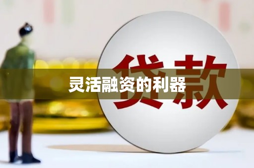 甘井子灵活融资的利器
