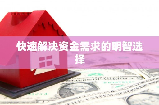 甘井子快速解决资金需求的明智选择
