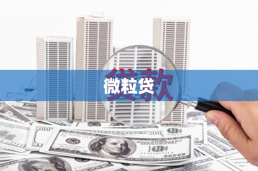 甘井子微粒贷
