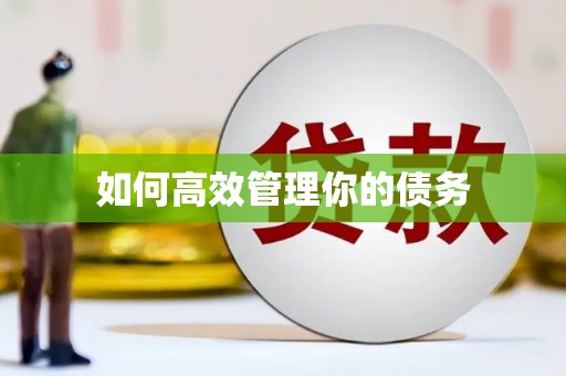 甘井子如何高效管理你的债务