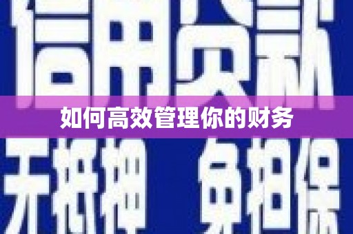 甘井子如何高效管理你的财务