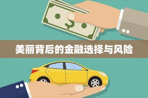 甘井子美丽背后的金融选择与风险