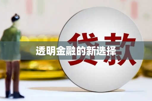 甘井子透明金融的新选择