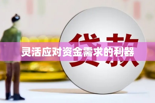 甘井子灵活应对资金需求的利器