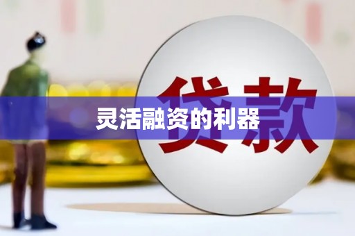 甘井子灵活融资的利器