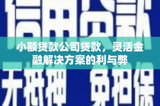 甘井子小额贷款公司贷款，灵活金融解决方案的利与弊