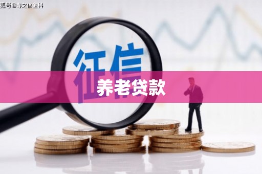 甘井子养老贷款