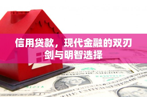 甘井子信用贷款，现代金融的双刃剑与明智选择