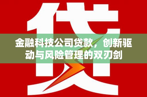 甘井子金融科技公司贷款，创新驱动与风险管理的双刃剑